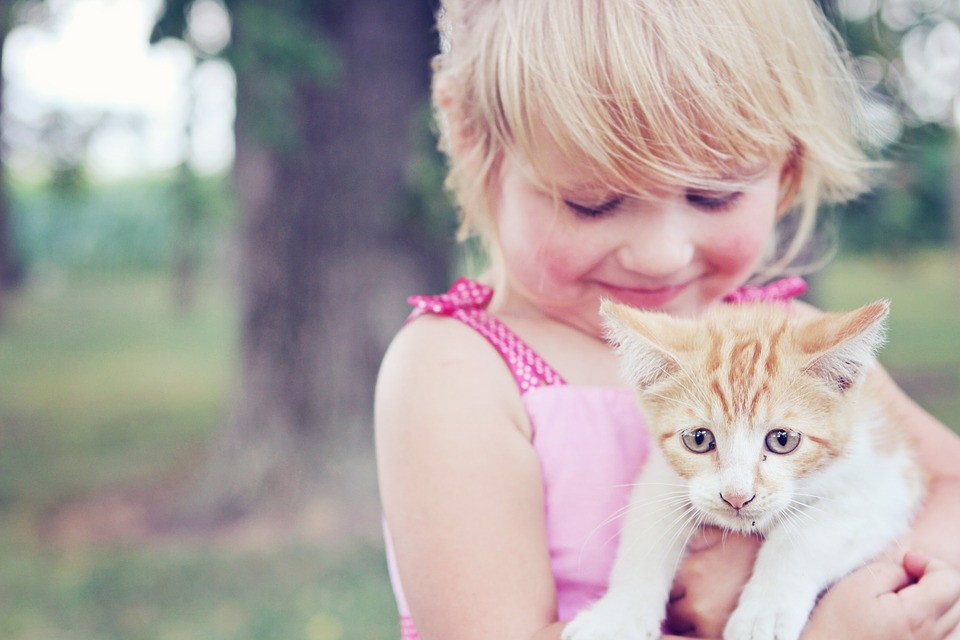 Las mascotas desarrollan la compasión en los niños
