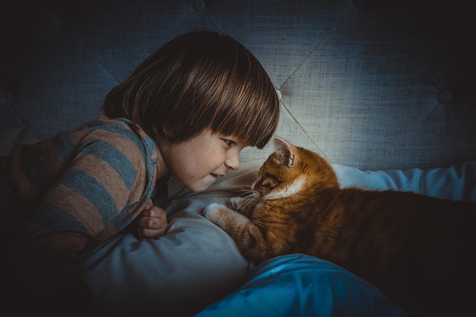 Los niños con mascotas tienen menos alergias en la edad adulta