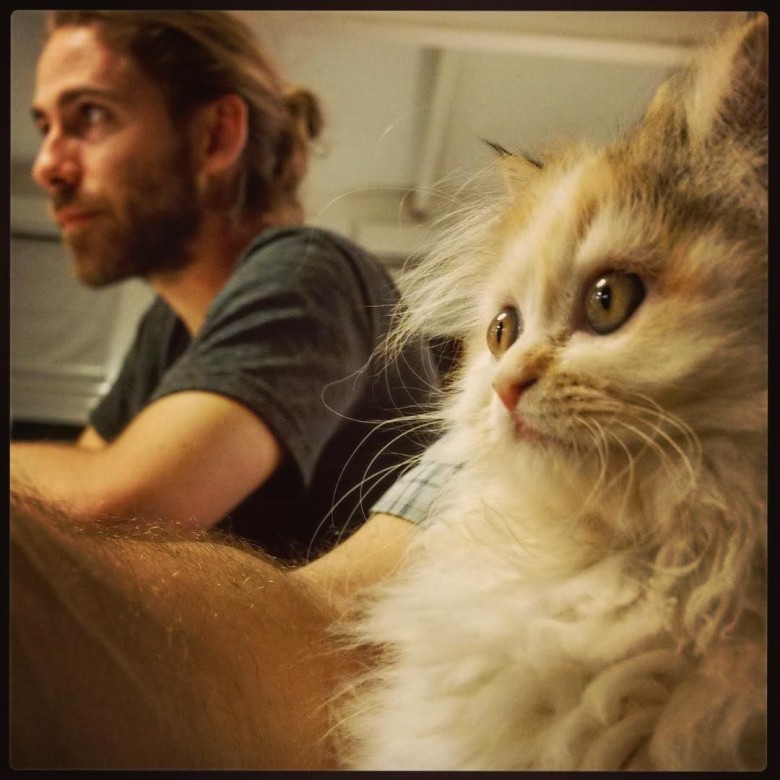 4. Fotos con gatos?