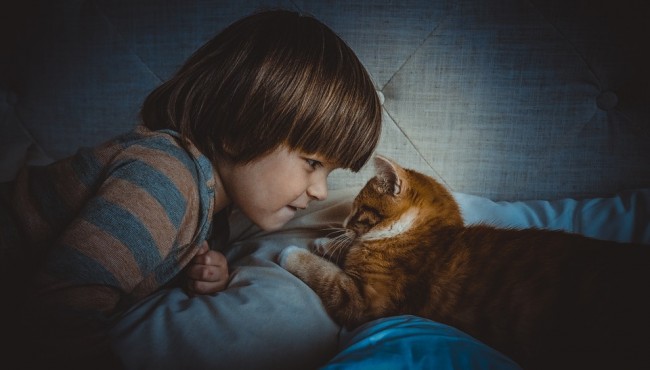 6 razones para comprar una mascota a tus hijos