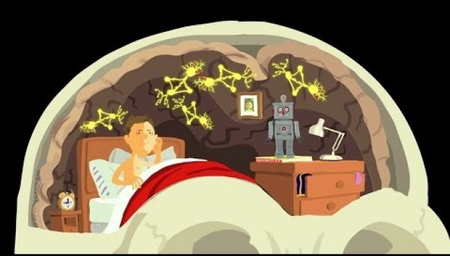 Preguntas a las que nadie sabe como responder. Video TED.