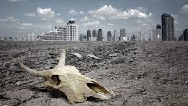 Los científicos advierten de una "sexta extinción masiva" si no tomamos medidas.