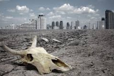 Los científicos advierten de una "sexta extinción masiva" si no tomamos medidas.