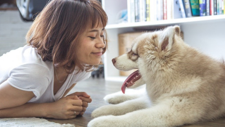 Cómo es el primer mes de vida de un cachorro