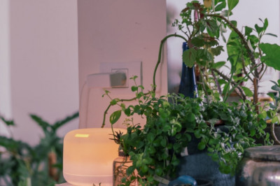 Mejores Purificadores de Aire, según Médicos y Expertos: Filtro HEPA, Ozono...